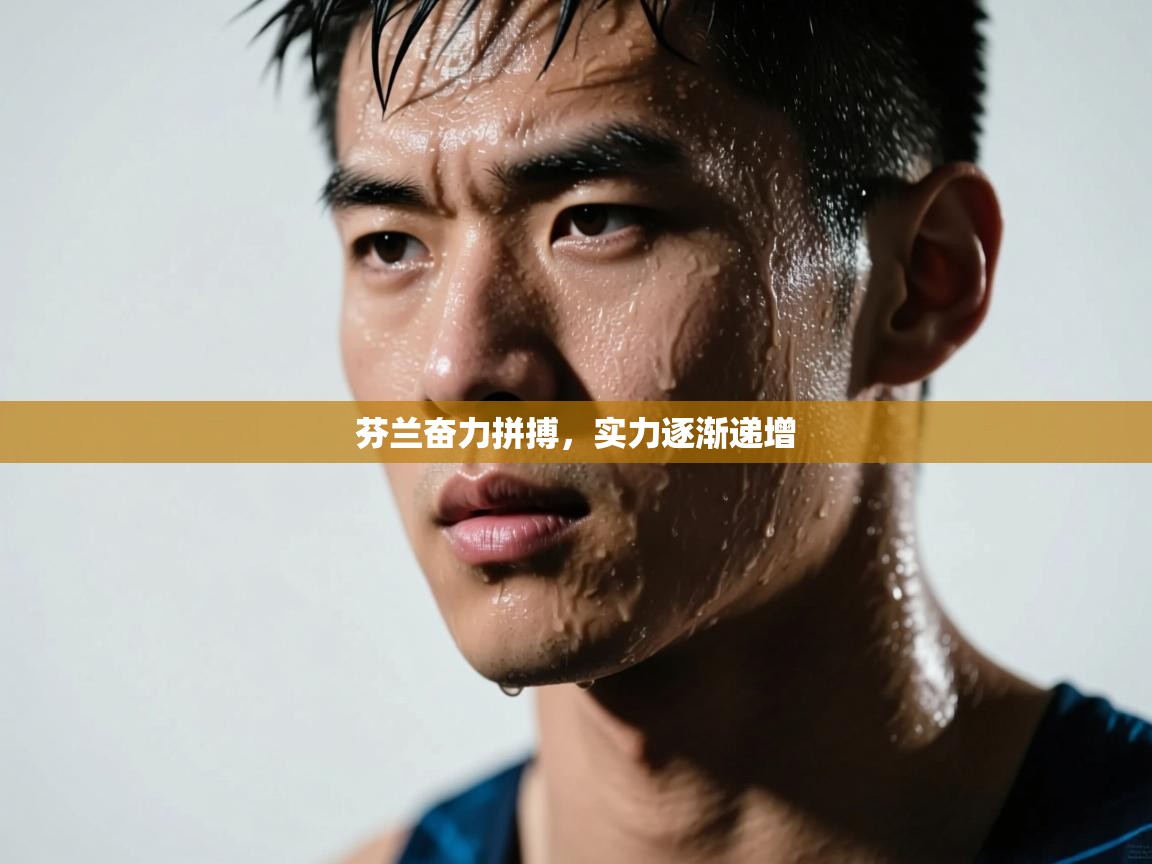 芬兰奋力拼搏,实力逐渐递增 第1张