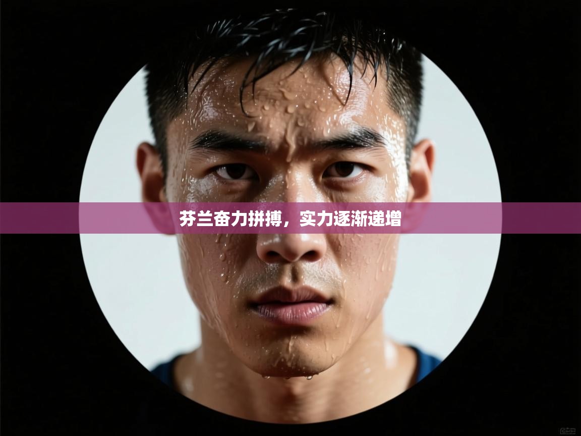 芬兰奋力拼搏,实力逐渐递增 第2张