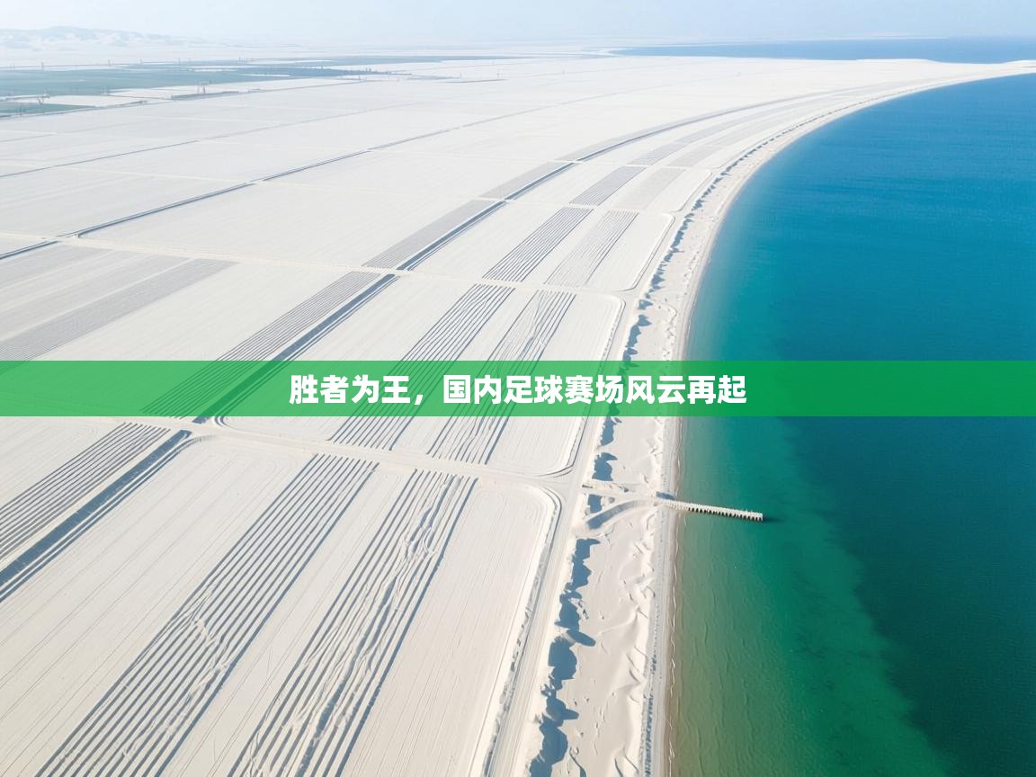 胜者为王，国内足球赛场风云再起