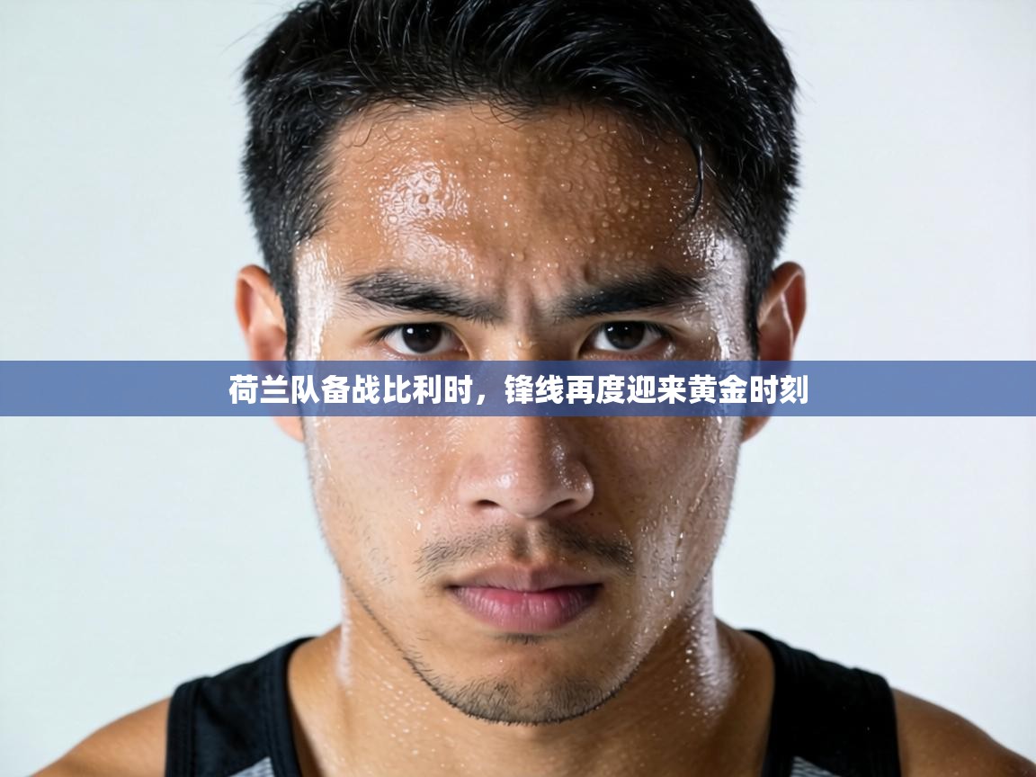 荷兰队备战比利时,锋线再度迎来黄金时刻 第2张